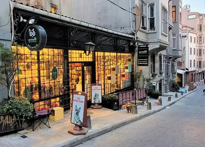 Stylish Getaway-explore The Urban Delights